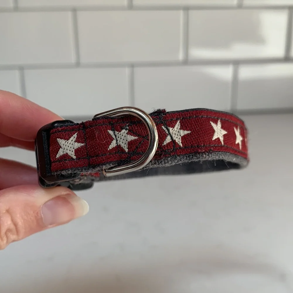 Burgundy Star Dog Collar
